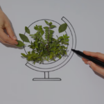 Investing in Green: Opportunities in Sustainable Business Practices