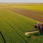 UAE’s ADQ Plans to Buy 35% of Limagrain’s Vegetable Seed Business